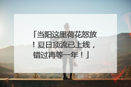 当阳这里荷花怒放！夏日顶流已上线，错过再等一年！