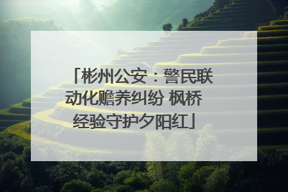 彬州公安：警民联动化赡养纠纷 枫桥经验守护夕阳红