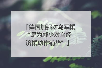 德国加强对乌军援 “是为减少对乌经济援助作铺垫”