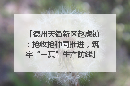德州天衢新区赵虎镇：抢收抢种同推进，筑牢“三夏”生产防线