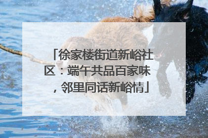 徐家楼街道新峪社区：端午共品百家味，邻里同话新峪情