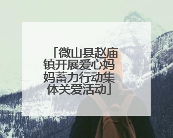 微山县赵庙镇开展爱心妈妈蓄力行动集体关爱活动