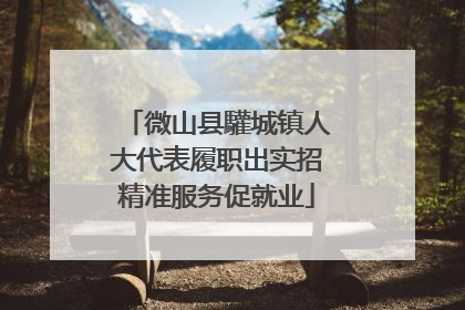 微山县驩城镇人大代表履职出实招精准服务促就业