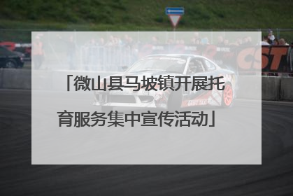 微山县马坡镇开展托育服务集中宣传活动