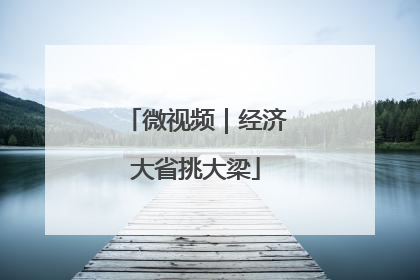 微视频｜经济大省挑大梁
