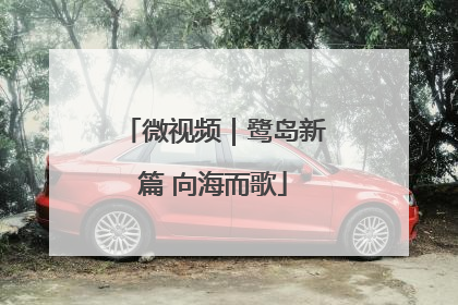 微视频｜鹭岛新篇 向海而歌