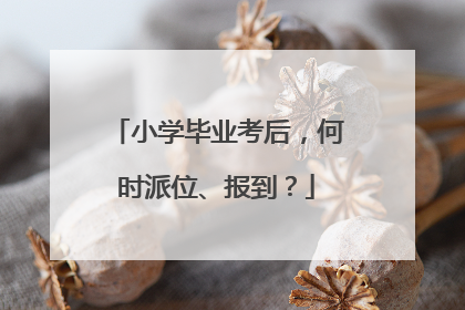 小学毕业考后，何时派位、报到？