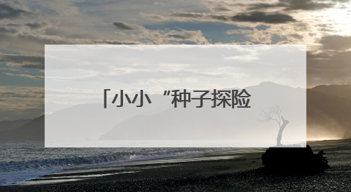 小小“种子探险家”开启艺术派对，湖南美术馆变身童话森林