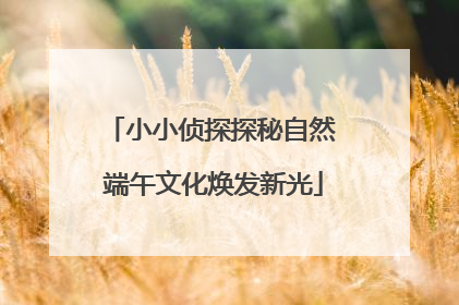 小小侦探探秘自然 端午文化焕发新光