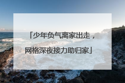少年负气离家出走，网格深夜接力助归家