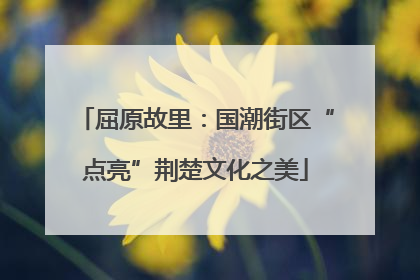 屈原故里：国潮街区“点亮”荆楚文化之美