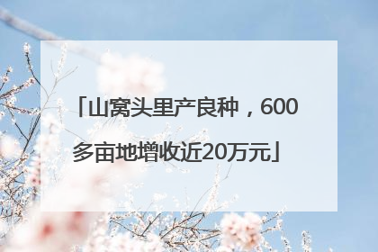 山窝头里产良种，600多亩地增收近20万元