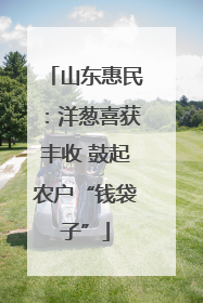 山东惠民：洋葱喜获丰收 鼓起农户“钱袋子”