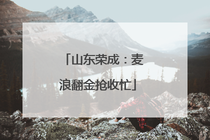 山东荣成：麦浪翻金抢收忙