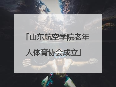 山东航空学院老年人体育协会成立