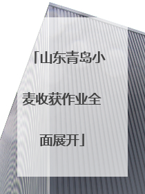 山东青岛小麦收获作业全面展开