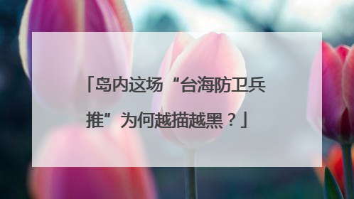 岛内这场“台海防卫兵推”为何越描越黑?