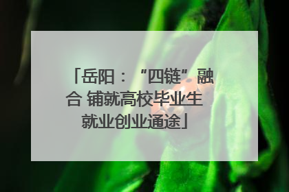岳阳：“四链”融合 铺就高校毕业生就业创业通途