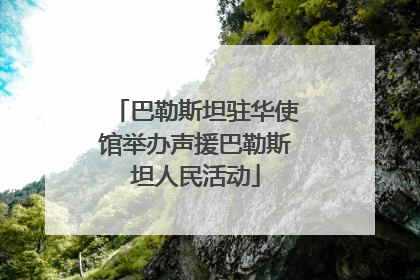 巴勒斯坦驻华使馆举办声援巴勒斯坦人民活动