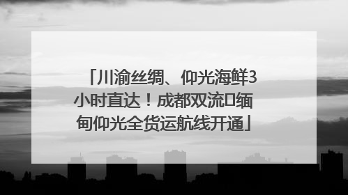 川渝丝绸、仰光海鲜3小时直达！成都双流⇌缅甸仰光全货运航线开通
