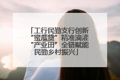 工行民勤支行创新“蜜瓜贷”精准滴灌“产业田”全链赋能民勤乡村振兴
