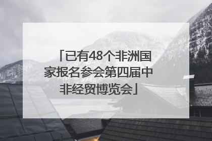 已有48个非洲国家报名参会第四届中非经贸博览会