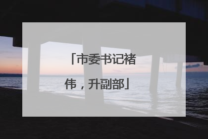 市委书记褚伟，升副部