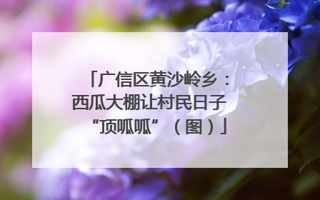 广信区黄沙岭乡：西瓜大棚让村民日子“顶呱呱”（图）