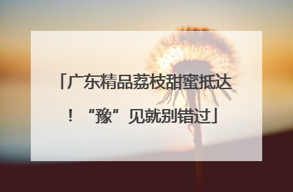 广东精品荔枝甜蜜抵达！“豫”见就别错过