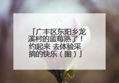 广丰区东阳乡龙溪村的蓝莓熟了！约起来 去体验采摘的快乐（图）
