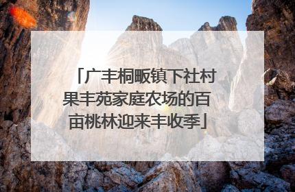 广丰桐畈镇下社村果丰苑家庭农场的百亩桃林迎来丰收季