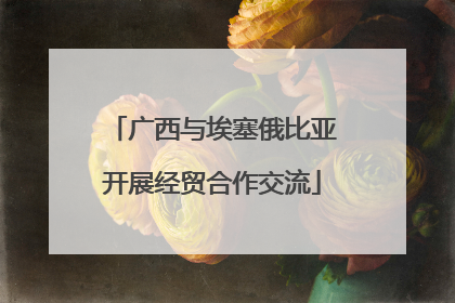 广西与埃塞俄比亚开展经贸合作交流