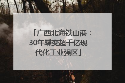 广西北海铁山港：30年蝶变超千亿现代化工业强区