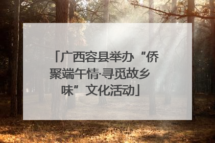 广西容县举办“侨聚端午情·寻觅故乡味”文化活动