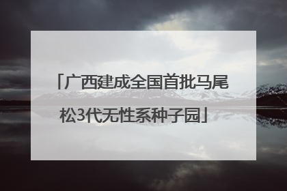广西建成全国首批马尾松3代无性系种子园