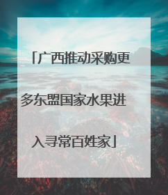 广西推动采购更多东盟国家水果进入寻常百姓家