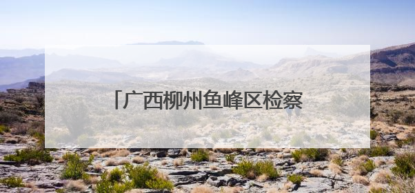 广西柳州鱼峰区检察院法治阳光护青春