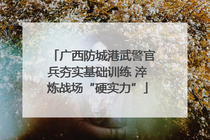广西防城港武警官兵夯实基础训练 淬炼战场“硬实力”