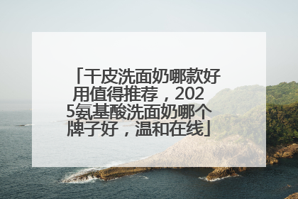 干皮洗面奶哪款好用值得推荐，2025氨基酸洗面奶哪个牌子好，温和在线
