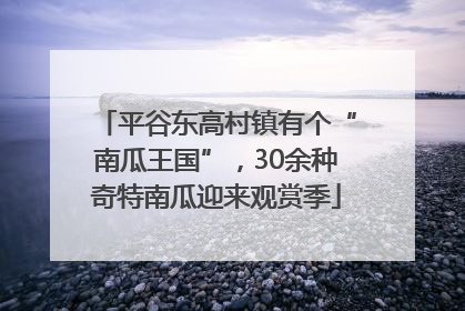 平谷东高村镇有个“南瓜王国”，30余种奇特南瓜迎来观赏季