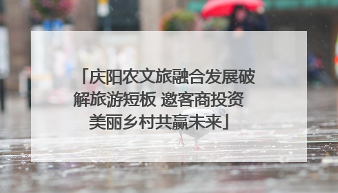 庆阳农文旅融合发展破解旅游短板 邀客商投资美丽乡村共赢未来