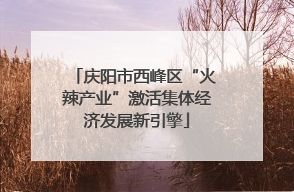 庆阳市西峰区“火辣产业”激活集体经济发展新引擎