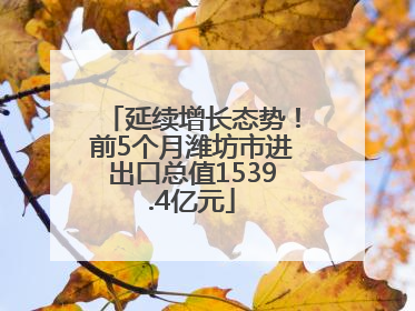 延续增长态势！前5个月潍坊市进出口总值1539.4亿元