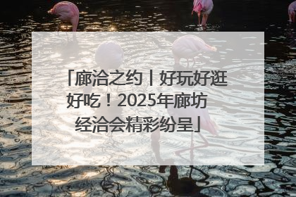 廊洽之约丨好玩好逛好吃！2025年廊坊经洽会精彩纷呈