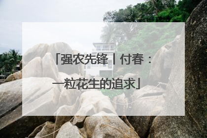 强农先锋丨付春：一粒花生的追求