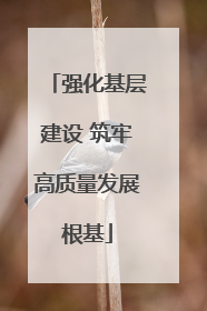 强化基层建设 筑牢高质量发展根基