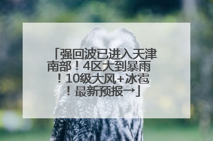 强回波已进入天津南部！4区大到暴雨！10级大风+冰雹！最新预报→