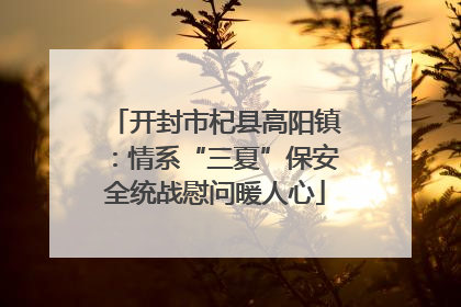 开封市杞县高阳镇：情系“三夏”保安全统战慰问暖人心