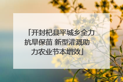 开封杞县平城乡全力抗旱保苗 新型灌溉助力农业节本增效