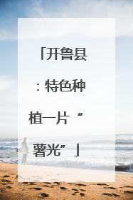 开鲁县：特色种植一片“薯光”